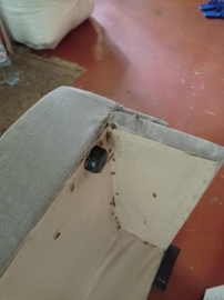 уничтожение тараканов в квартире цена