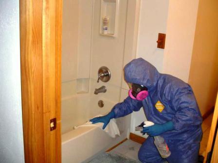 Дезинфекция от насекомых в квартире. Как дезинфицировать квартиру. Рекомендации по уборке помещений. Как дезинфицировать квартиру. Как дезинфицировать квартиру.