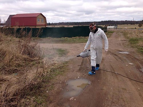 Уничтожение клещей на участке цена