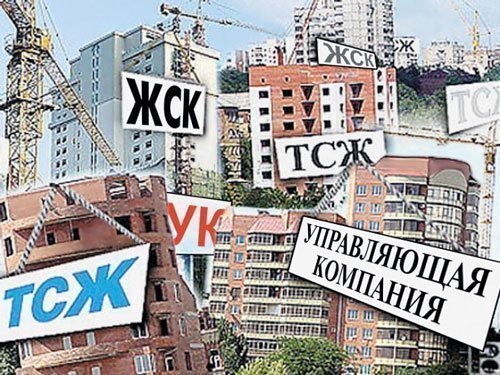что делать если в подъезде завелись блохи. Смотреть фото что делать если в подъезде завелись блохи. Смотреть картинку что делать если в подъезде завелись блохи. Картинка про что делать если в подъезде завелись блохи. Фото что делать если в подъезде завелись блохи