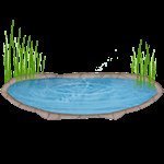 анализ воды в водоемах (озерах)