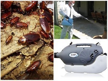 как остановить размножение тараканов