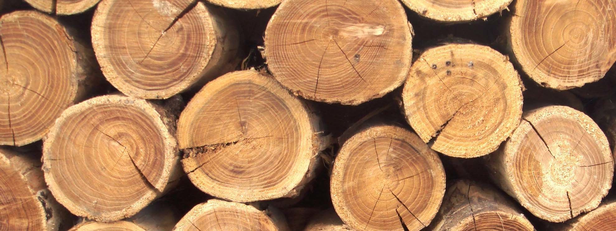 обработка древесины на экспорт
